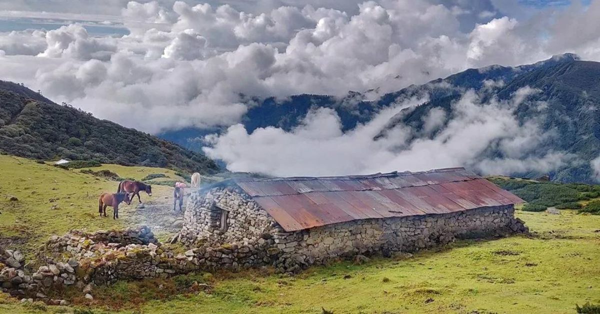 Kanchenjunga National Park, sikkim, Xplro