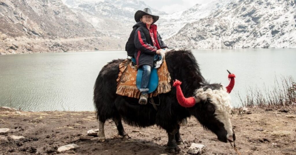 Yak Rides, Xplro