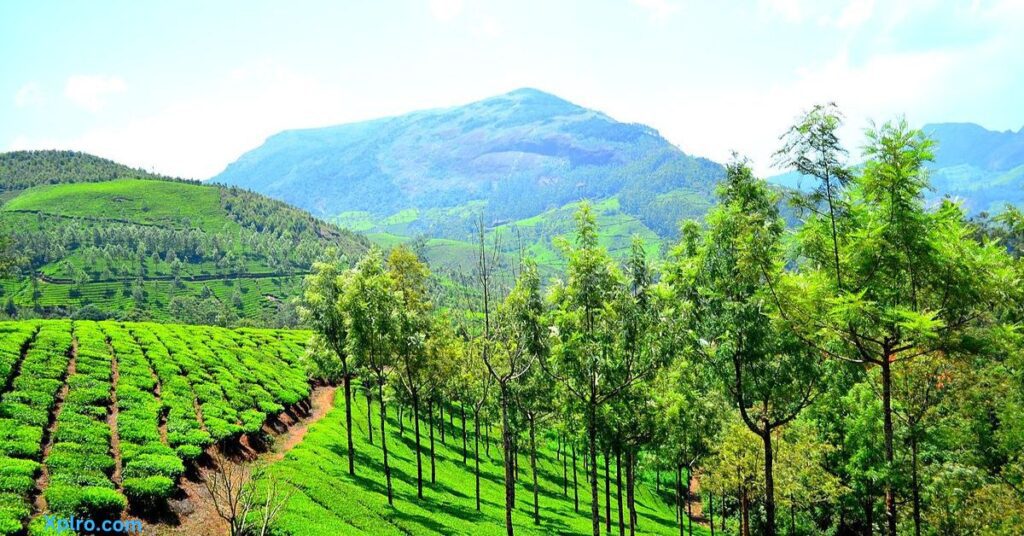 munnar kerala, Xplro