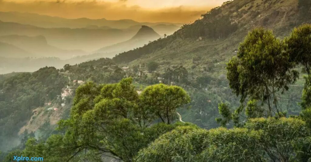 The Ultimate Guide to the Best Eco-Tourism in India