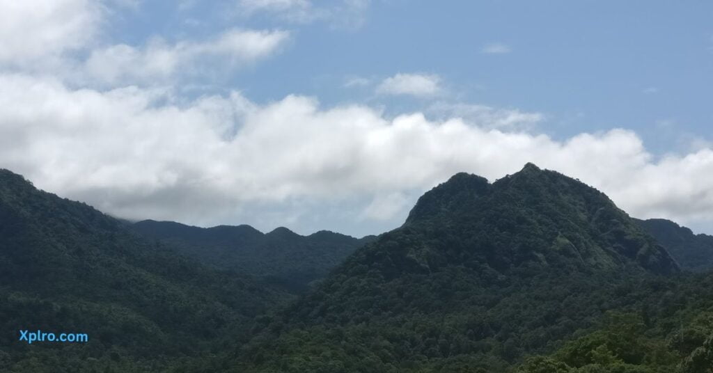 Sairandhri silent valley kerala, Xplro