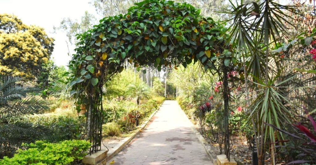 Botanical Gardens Heritage Park tripura, Xxplro