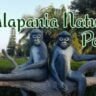 Kalapania Nature Park, Xplro, Tripura