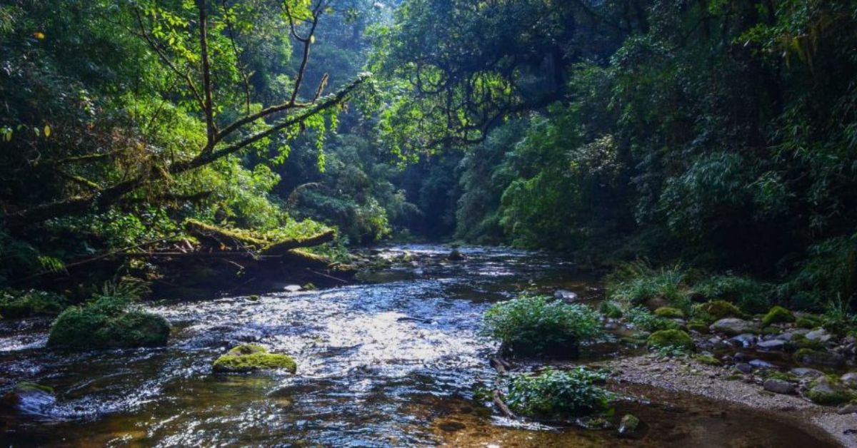 Talle Valley Wildlife Sanctuary, Arunachal Pradesh, Xplro