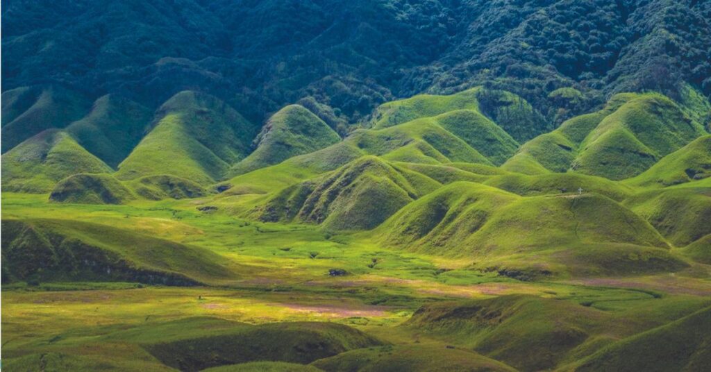 Mount Tiyi Greenery, nagaland, Xplro