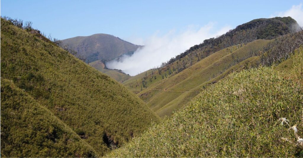 Misty Valley nagaland, Xplro