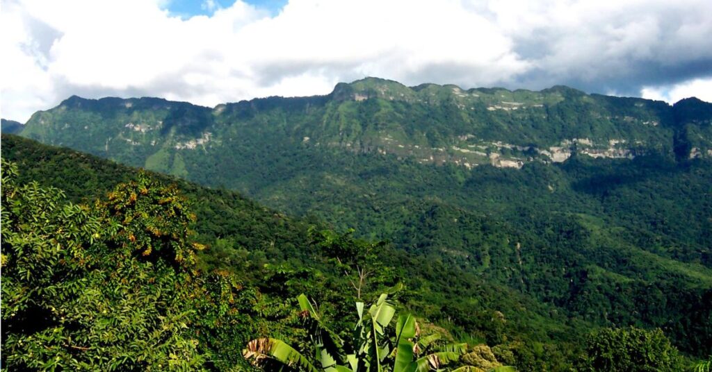 Lengteng Wildlife Sanctuary Unveiled: A Guide to Mizoram’s Popular Wildlife Paradise