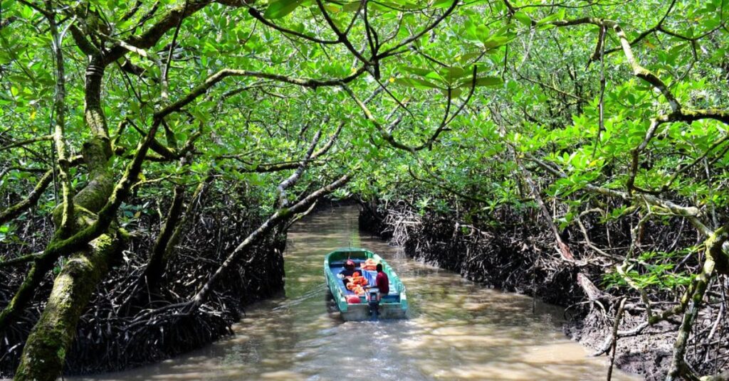 Discovering Baratang Island: A Hidden Gem in the Andaman Archipelago