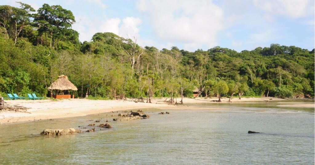 Exploring the Serene Beauty of Chidiya Tapu: Andaman’s Birdwatcher’s Paradise