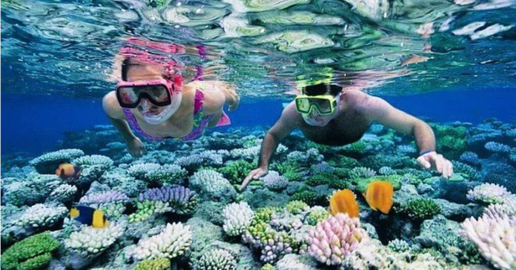 Snorkeling, Xplro