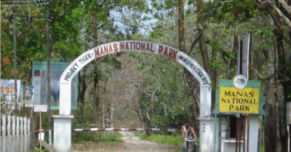 Manas National Park, Assam: Epic Adventures in Nature’s Paradise