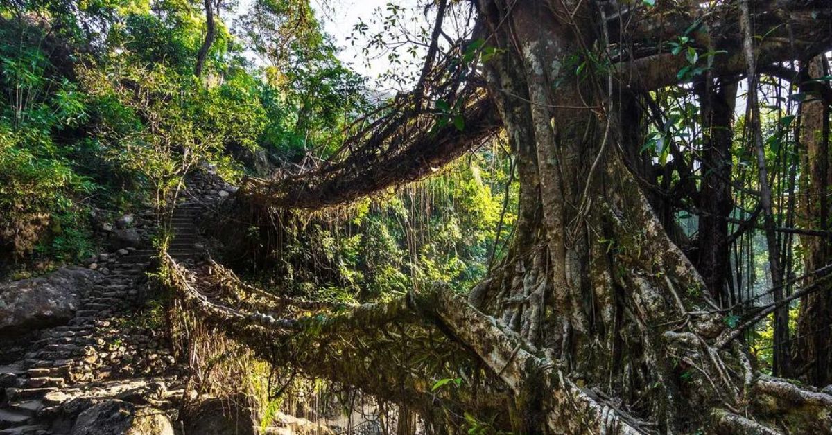 cherrapunji, meghalaya, Xplro