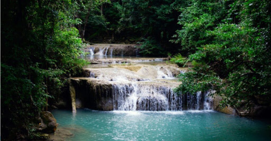 Sacred Pools and Waterfalls Mawphlang Sacred Forest, Xplro