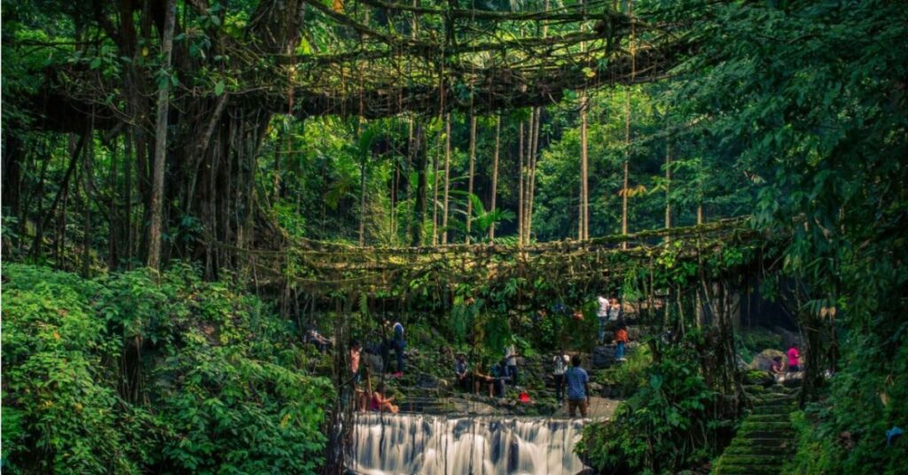 Double-Decker Living Root Bridge: Embark on a Remarkable Journey in Meghalaya