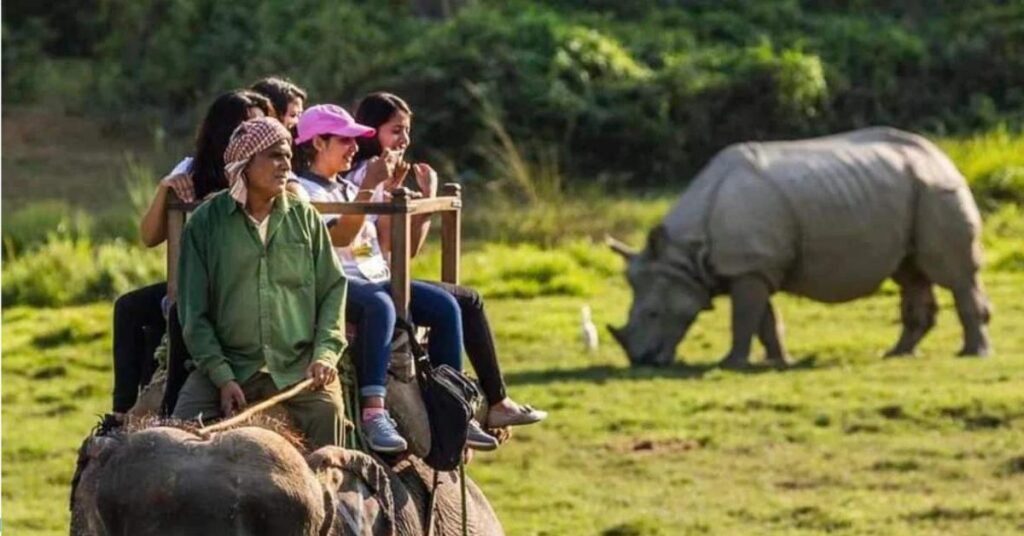 Jeep Safari Pobitora Wildlife Sanctuary, Xplro