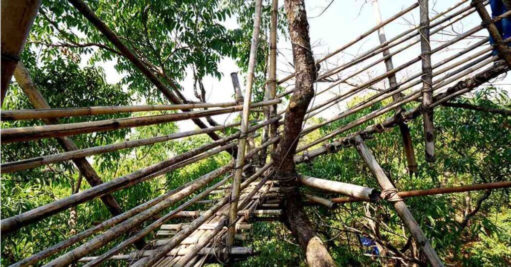 sky walk mawlynnong meghalaya, Xplro