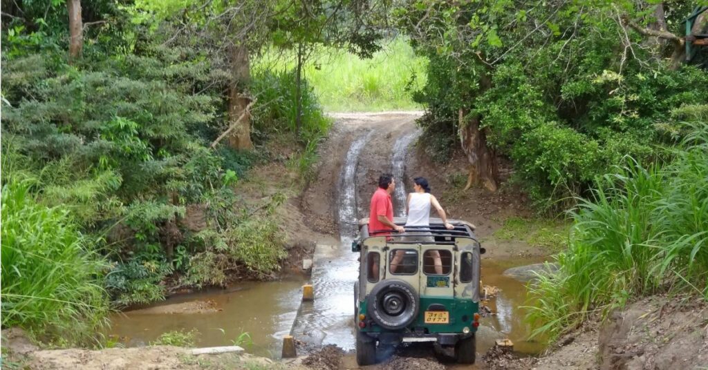 Jeep Safari Pobitora Wildlife Sanctuary