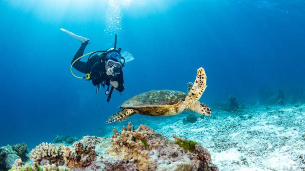 Scuba Diving in the Andaman Islands