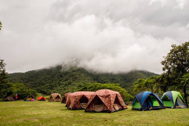 Best Places for Camping in India coorg camp