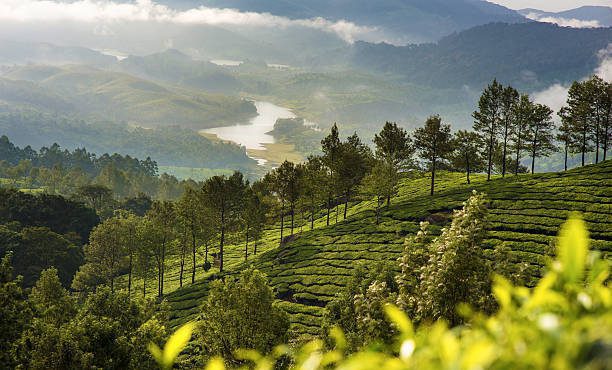 Munnar Travel Itinerary munnar