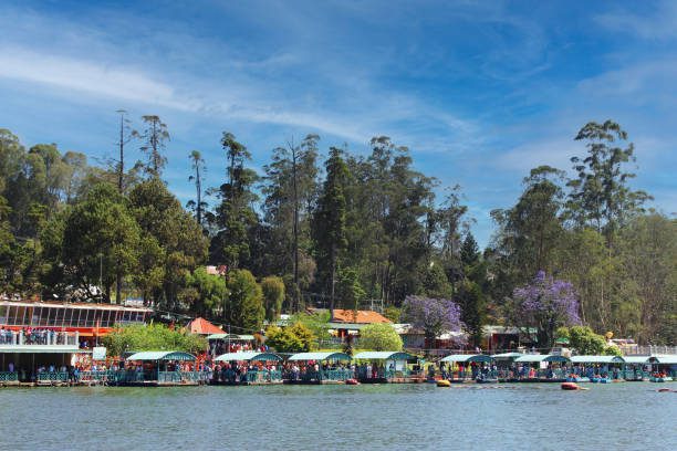 Unveiling the 7 Best Weekend Trips from Bangalore for a Blissful Getaway OOTY