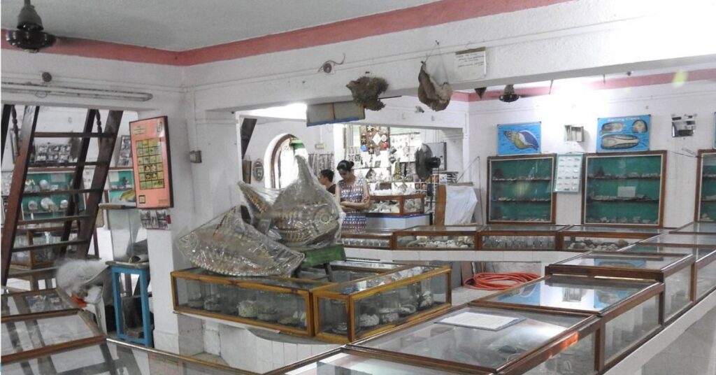 Artifacts and Relics, Diu Museum, Xplro