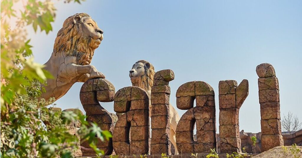 Encounter Majestic Lions at Silvassa Vasona Lion Safari: A Comprehensive Guide