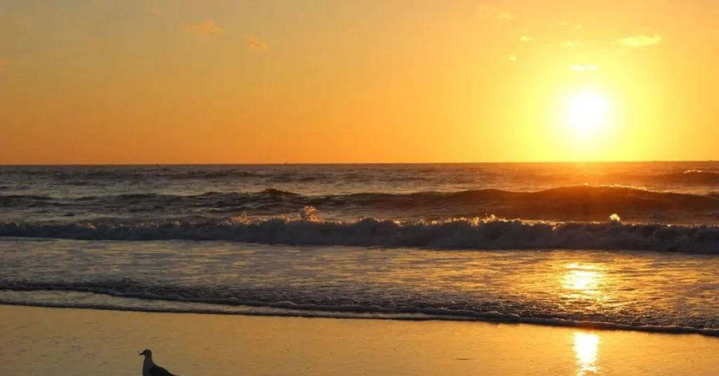 Sunrise Views, Promenade Beach, puducherry, Xplro