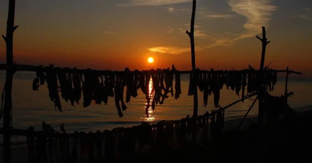 Sunset Viewing and Stargazing, Bangaram Island, Xplro