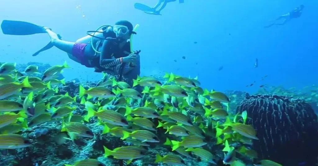 Snorkeling and Scuba Diving, Kadmat Island, Xplro