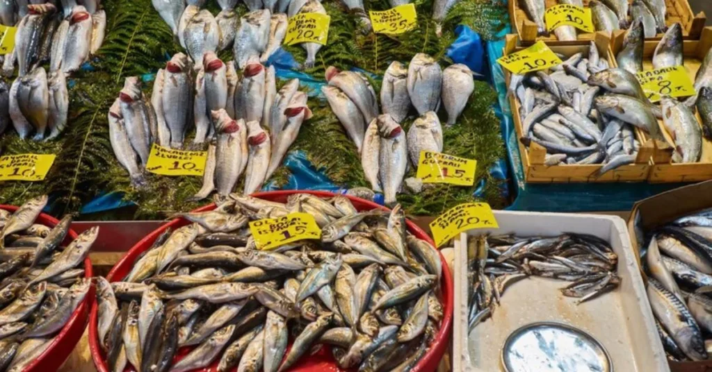 Local Markets and Street Food, Minicoy Island, Xplro