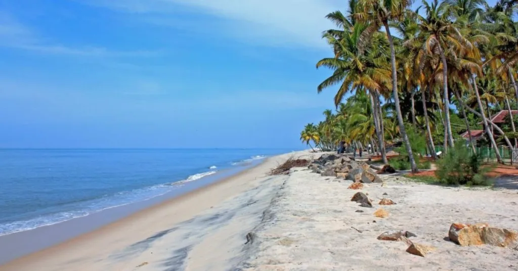 Marari Beach, Kerala: Where Unique Tranquility Meets the Sea