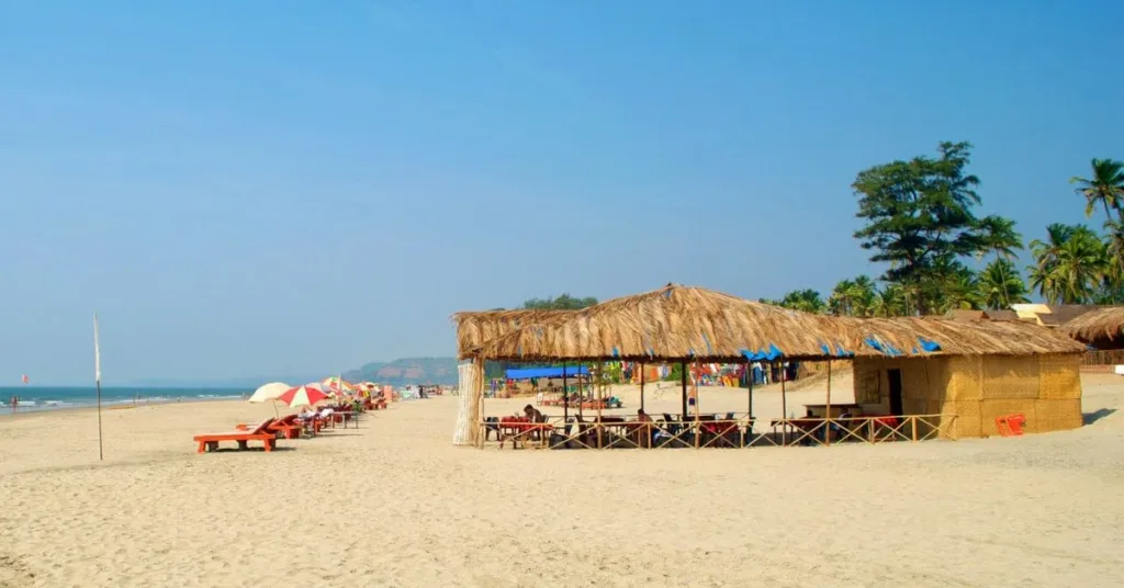 Pristine White Sand Beach, Mandrem Beach, Xplro