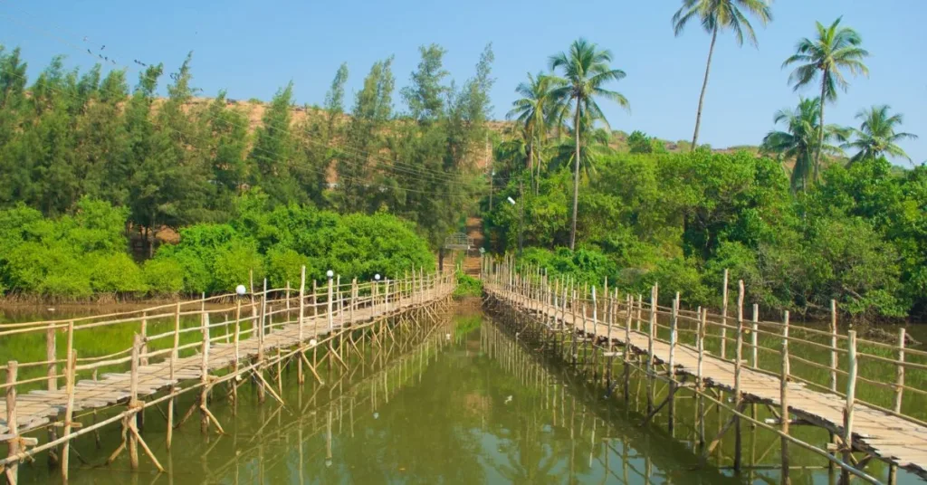 Mandrem Creek and Wooden Bridges, Mandrem Beach, Xplro