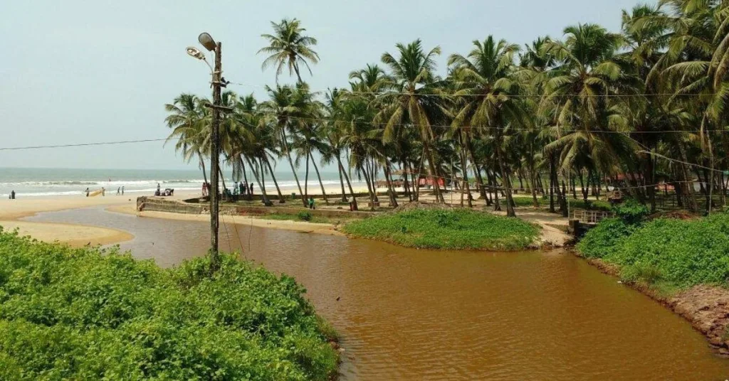 Explore Colva Beach: A Guide to Goa’s Most Popular Beach Destination