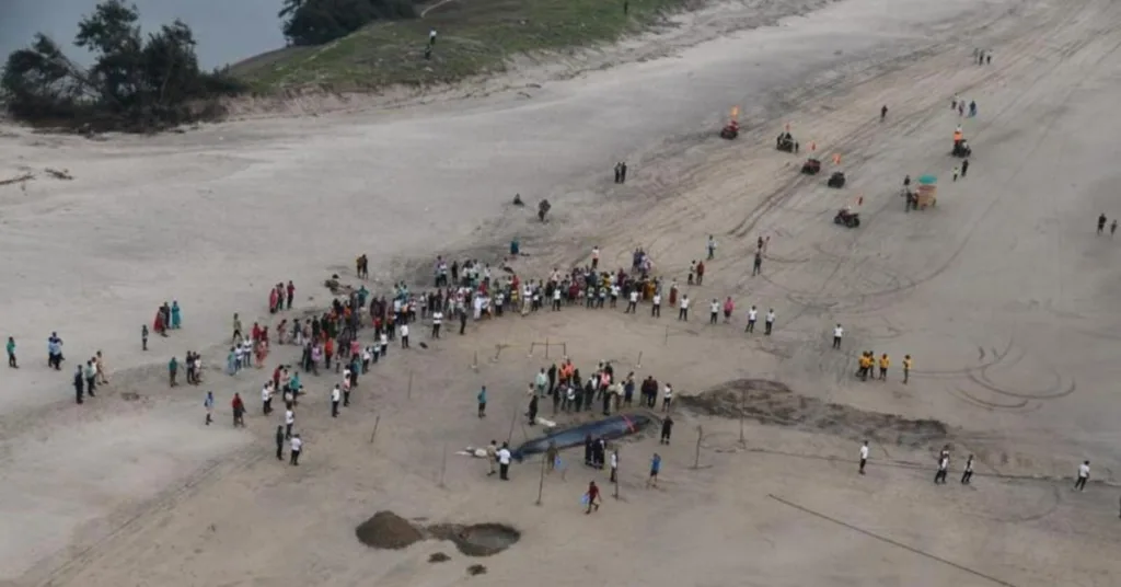 Ganpatipule Beach Games, Xplro