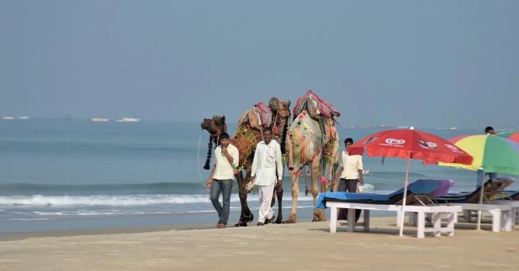 Unwind at Sernabatim Beach: Goa’s Quiet Coastal Retreat