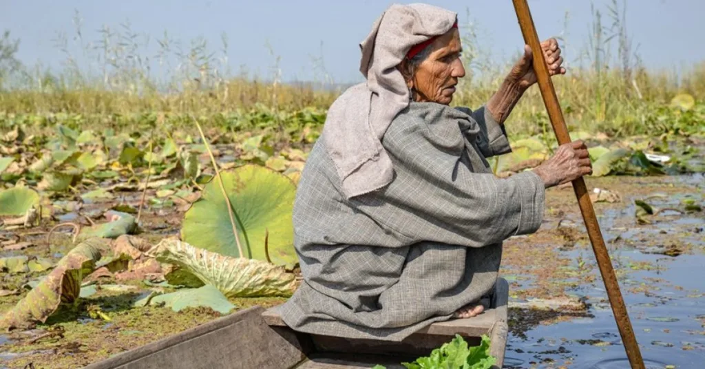 floating gardens of dal lake, Xplro