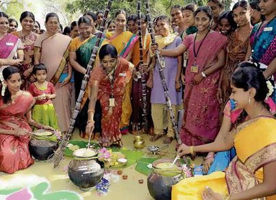 pongal