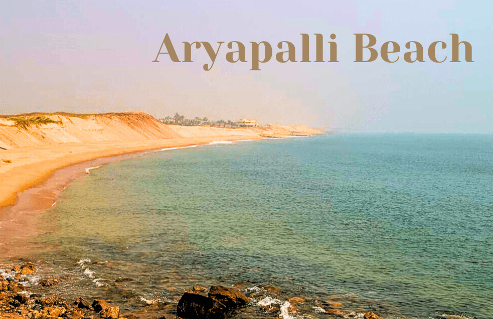 Aryapalli Beach: 7 Reasons to Discover Odisha’s Unexplored Coastal Beauty