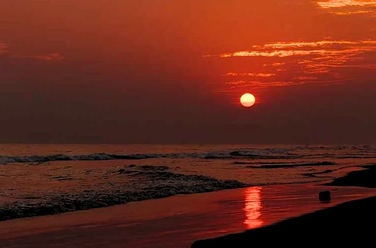 Aryapalli Beach: 7 Reasons to Discover Odisha’s Unexplored Coastal Beauty