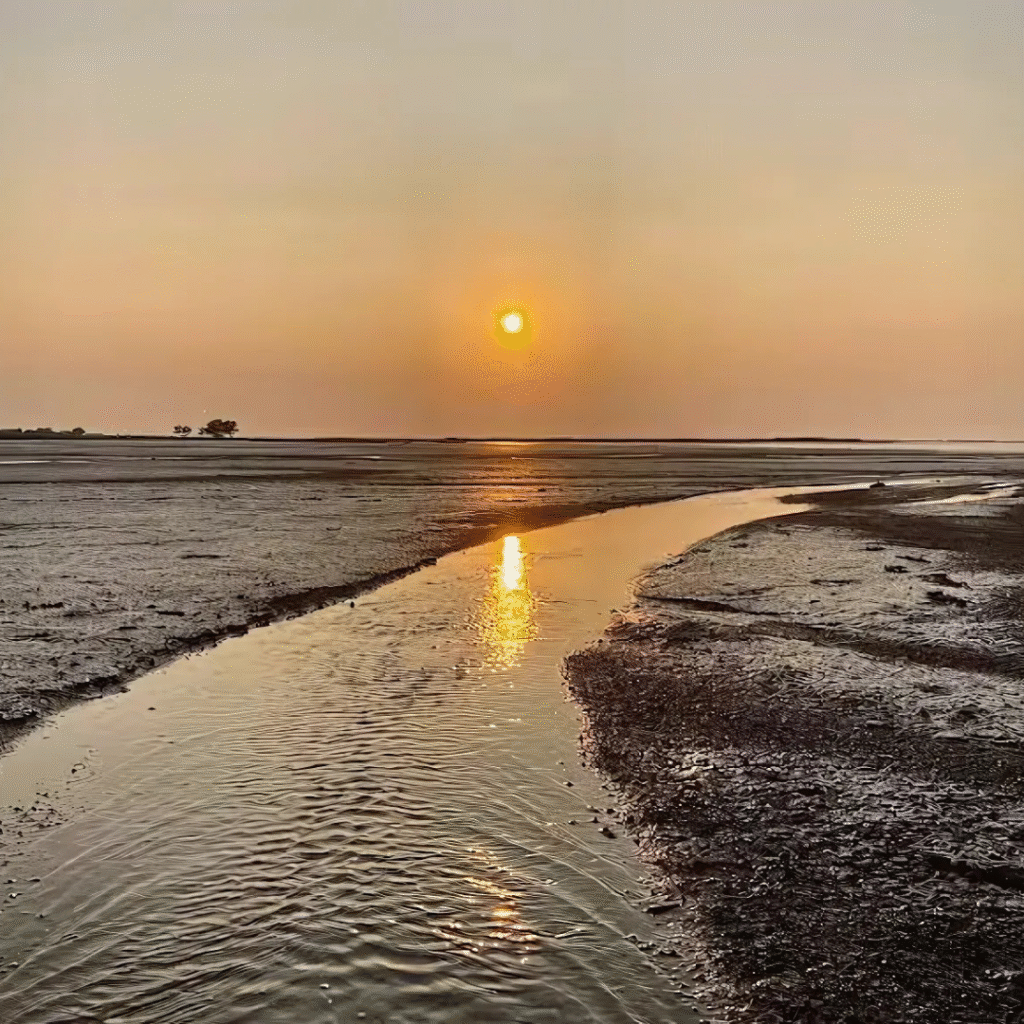 Adventure Enthusiasts Balachadi Beach Jamnagar, Xplro