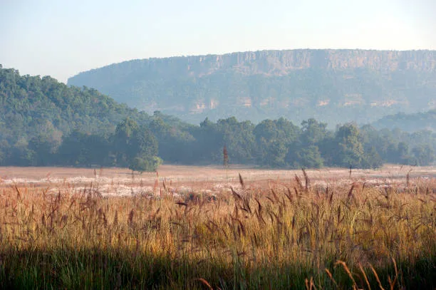 Bandhavgarh Fort: Discover the Majestic History of India in 7 Fascinating Steps