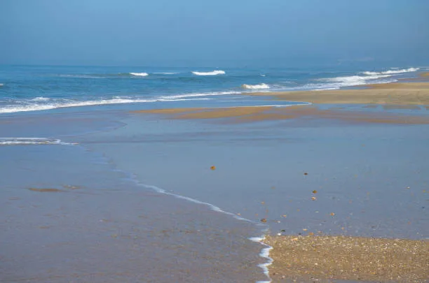 7 Stunning Beaches of Gujarat: A Complete Guide to Beach of Gujarat