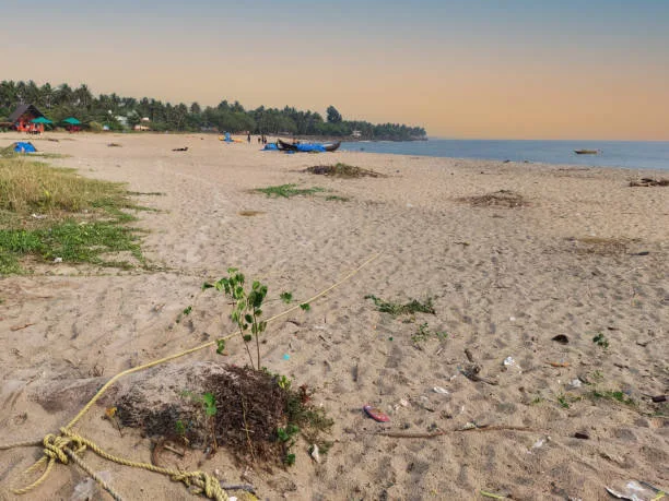 Beach Kochi: Top 5 Best Beaches for Sun, Sand, and Sea Adventures 