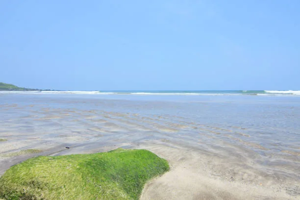 Beach Kochi: Top 5 Best Beaches for Sun, Sand, and Sea Adventures 