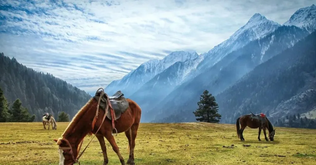 Aru valley Horse Riding jammu and kashmir