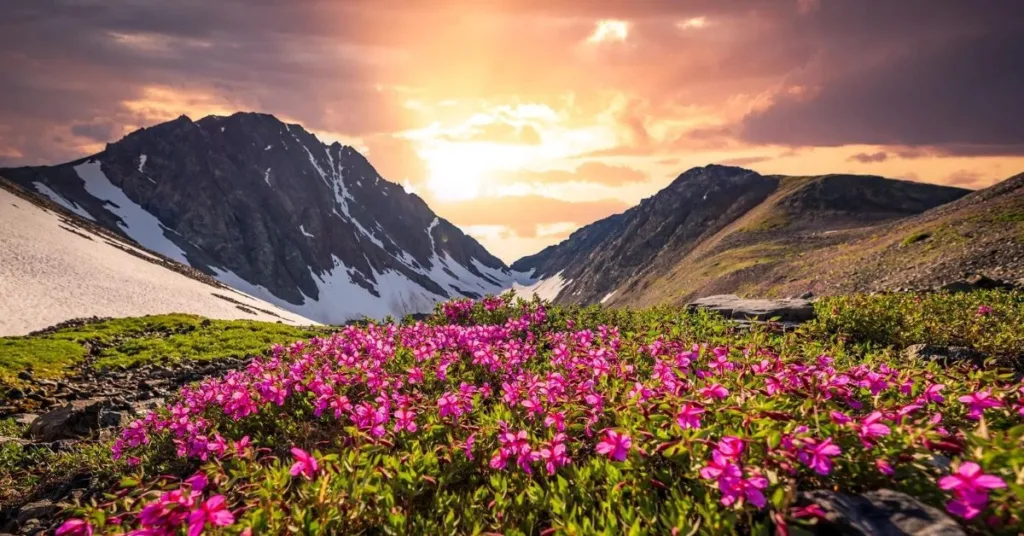 Valley of Flowers Trek, Uttarakhand, Xplro