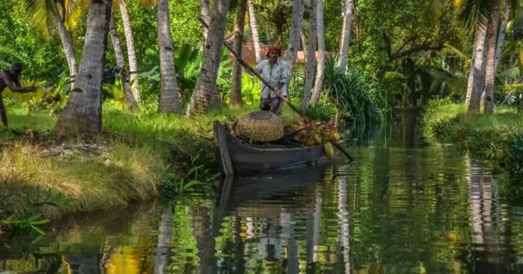 Kollam Backwaters, Kerala, Xplro