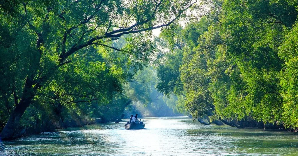 Sundarbans Backwaters, West Bengal, Xplro